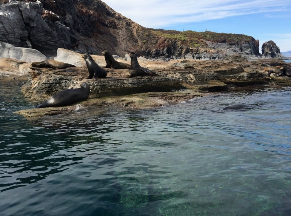 Isla Coronado cómo llegar